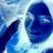katt_85
